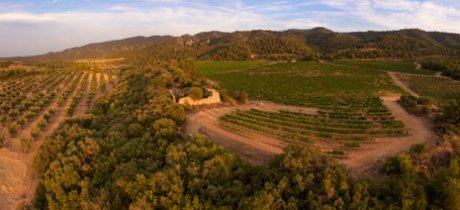 The Llena Mountain Range - The Mountains of Prades